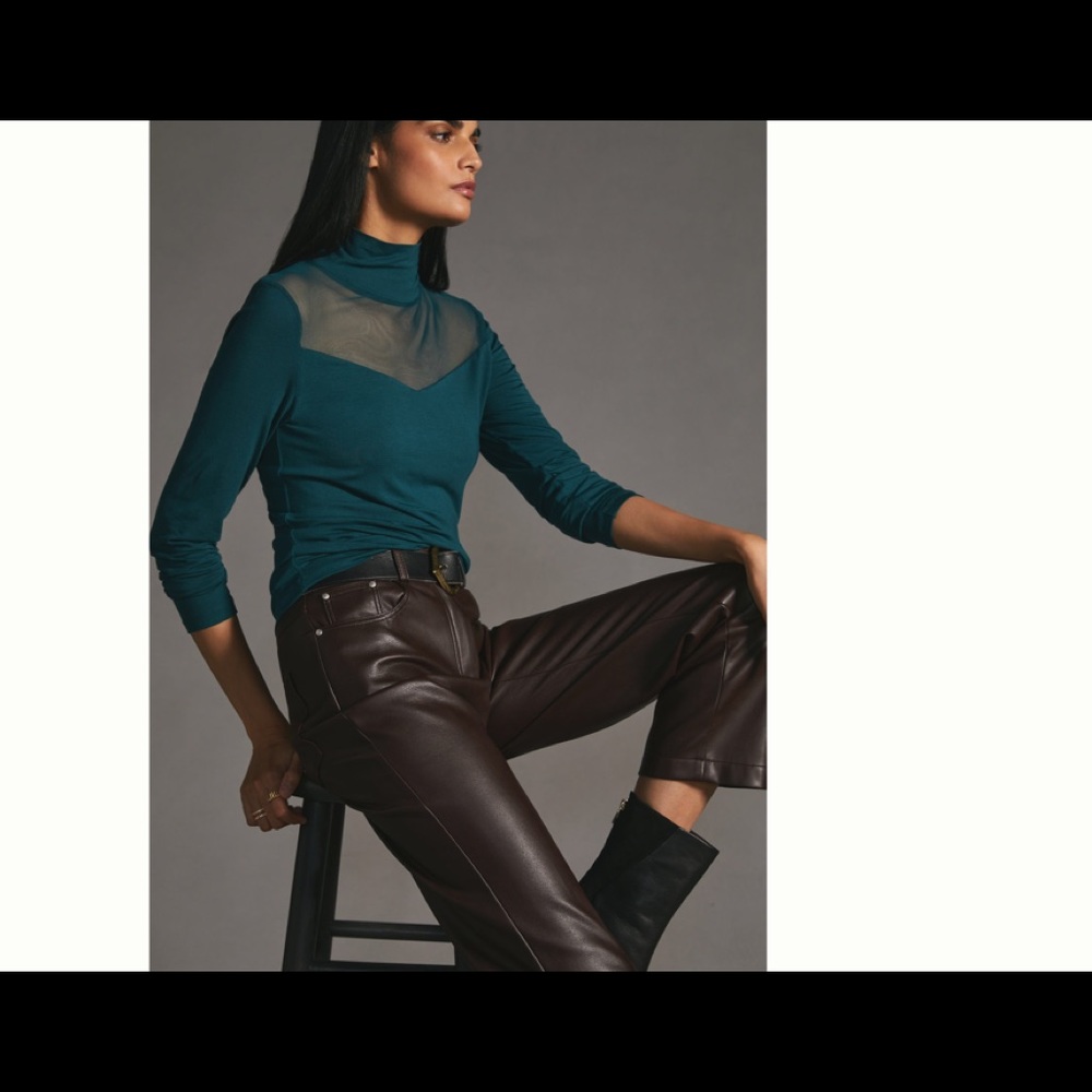 Anthropologie sheer turtleneck top